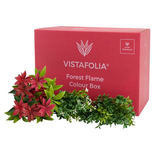 Forest Flame Colour Box