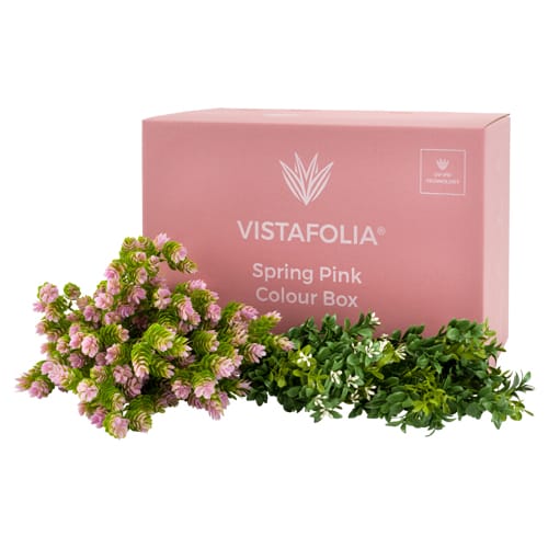 Spring Pink Colour Box