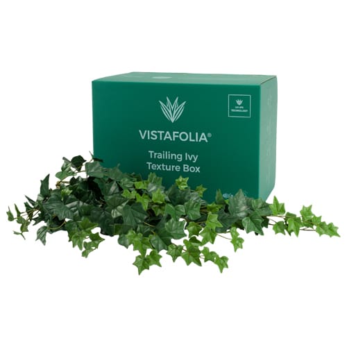 Trailing Ivy Texture Box