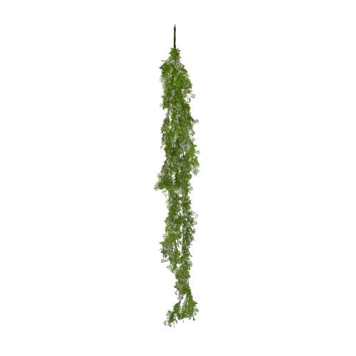 Trailing Buxus preview 3