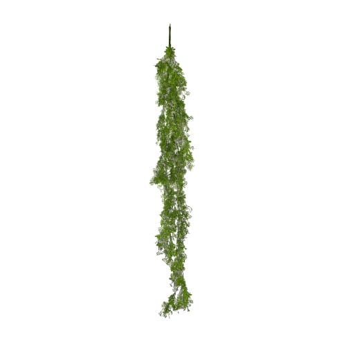 Trailing Buxus preview 8