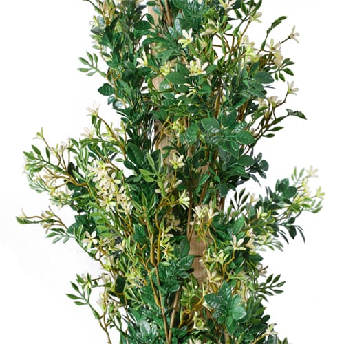 Trailing Jasmine preview 1