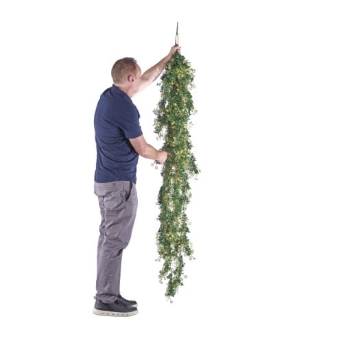 Trailing Jasmine preview 7