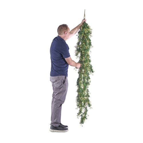 Trailing Jasmine preview 9