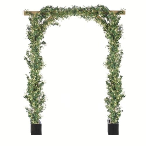 Trailing Jasmine preview 2