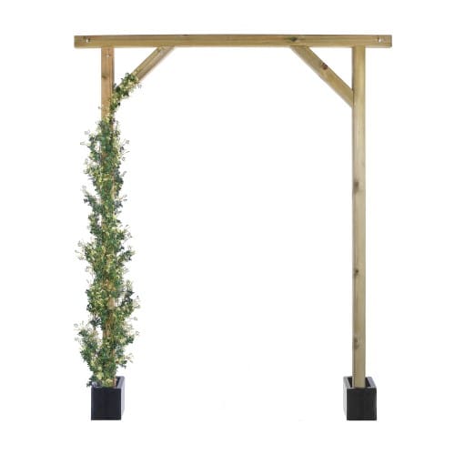Trailing Jasmine preview 4