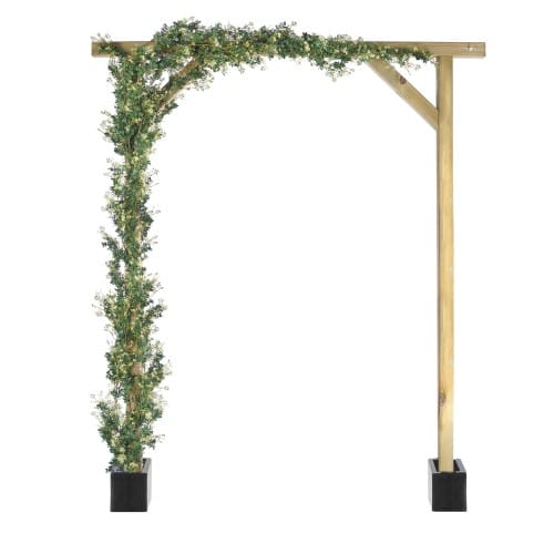 Trailing Jasmine preview 5