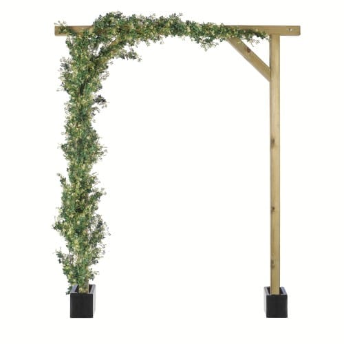 Trailing Jasmine preview 6