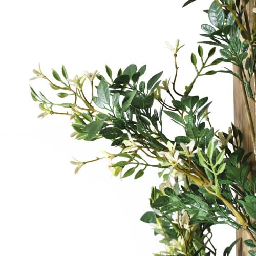 Trailing Jasmine preview 11
