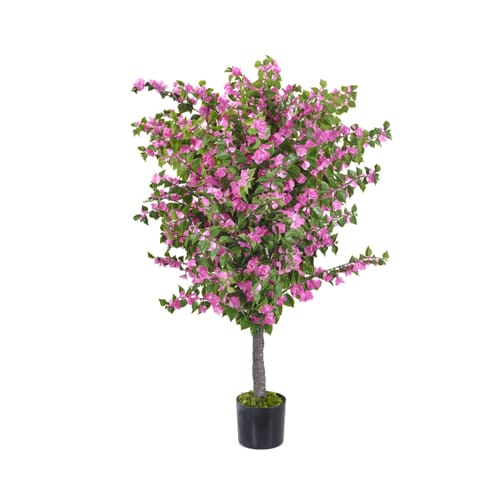 Bougainvillea 1.8m/5ft 11in UV-IFR