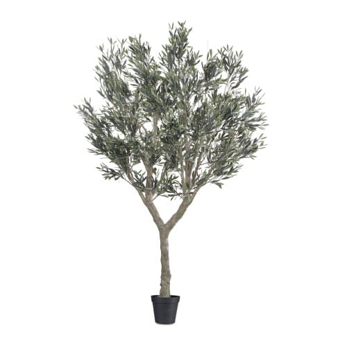 Cielo Verdi Olive Tree UV-IFR preview 2