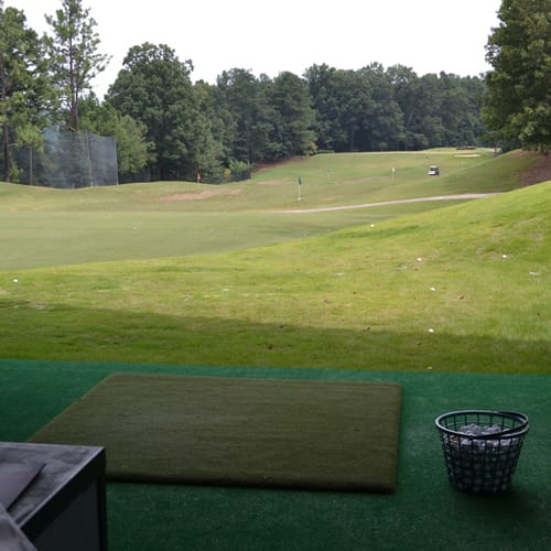 Tee Area Turf preview 2