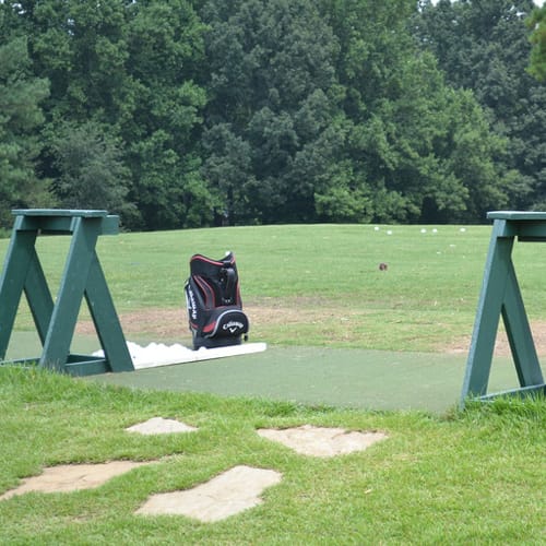 Tee Area Turf