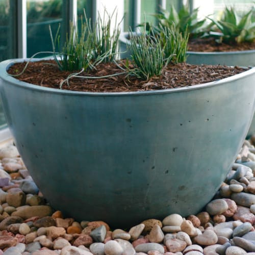 Medium Wave Planter preview 3