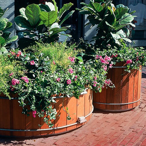 Planters & Planter Benches
