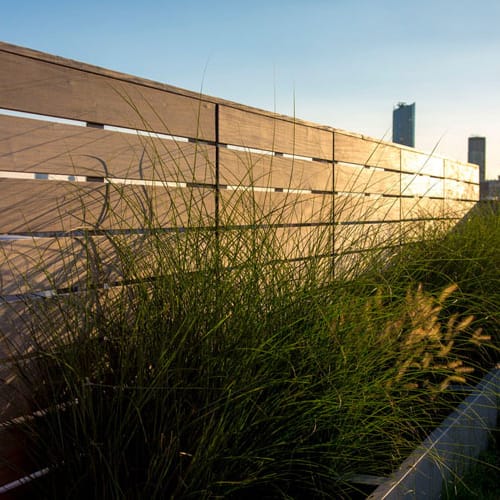 Site Garden