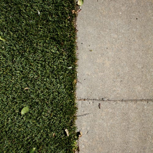 Synthetic Turf Landscape Edging preview 3