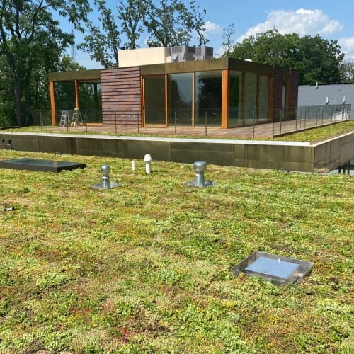 The Purple-Roof Concept
