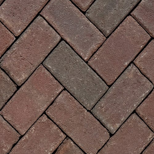 Rembrandt Pavers
