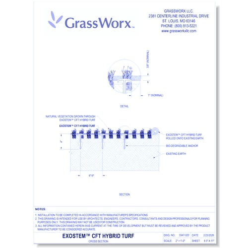 ExoStem™ CFT Hybrid Turf: Application Cross Section