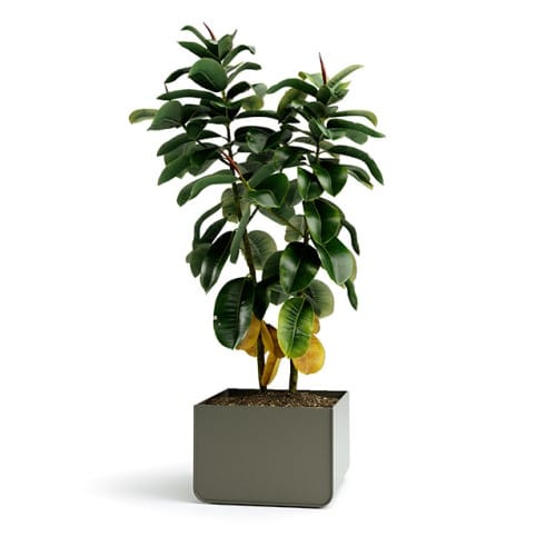 Monoline Solid Series Planters 20 x 20 preview 2