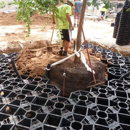 Stratacell™ Soil Cell System preview 3