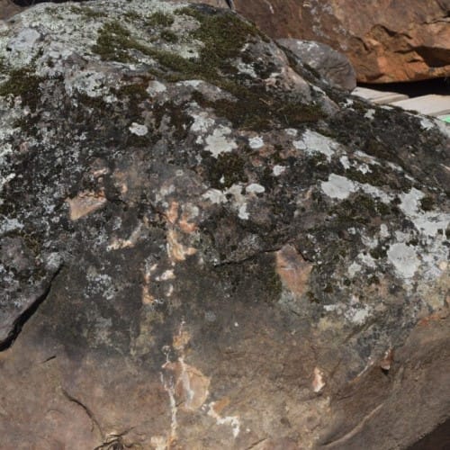 Boulders: Moss