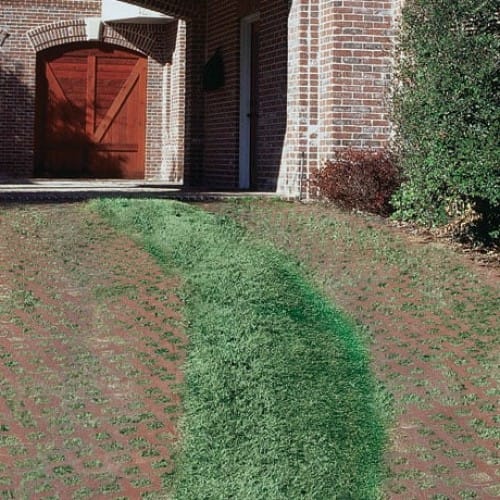 Pavers: Grasstone™