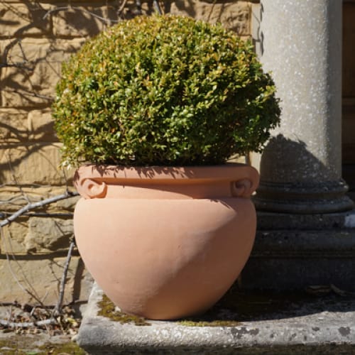 Scrolled Jardiniere (A580)