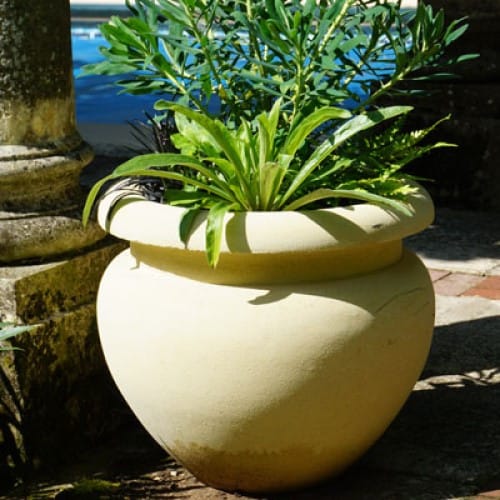 Small Roman Jardiniere (A534)