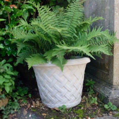 Small Elizabethan Jardiniere (A275) preview 3