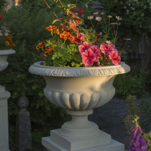 Clarence Urn (A215) preview 3