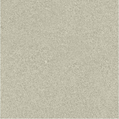 Monochrome Bone 2cm Porcelain Paver – Earth Series