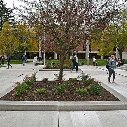 Vertical 5-to-8-Inch Granite Curbing preview 11