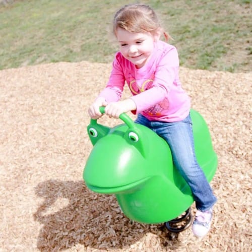 Play Structure: Filbert Frog Fun Bounce (PFB004) preview 2