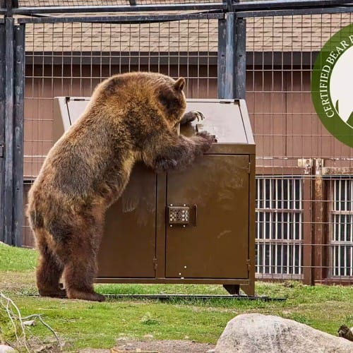 Bear-Proof Trash Receptacle, Double preview 2