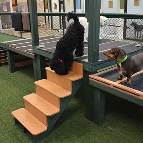 Canine Castle preview 2