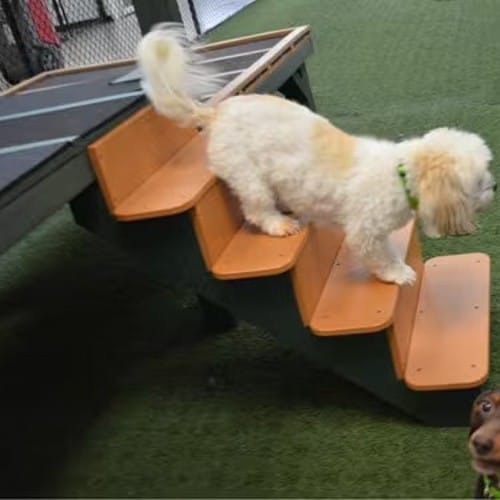 Canine Castle preview 4