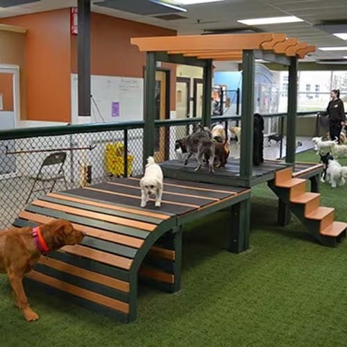 Canine Castle