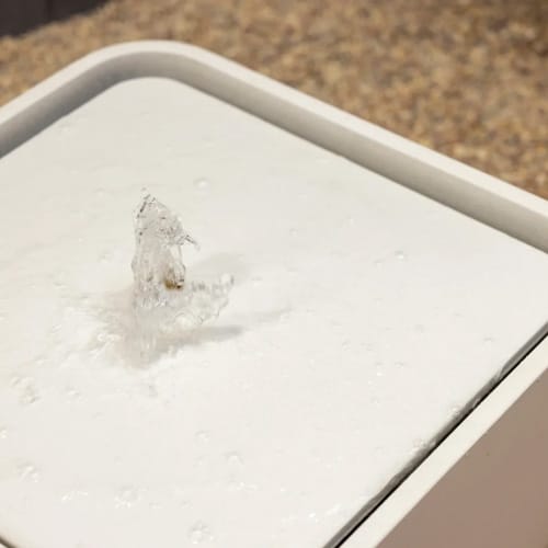 RAIO Water Feature preview 9