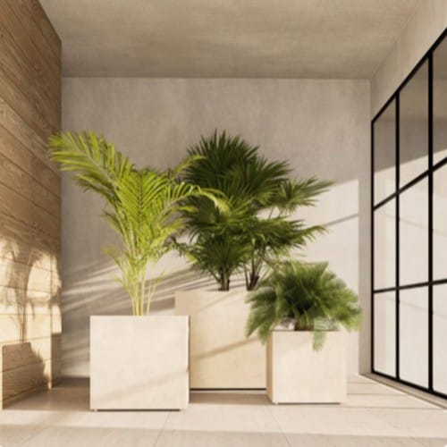 COSAPOTS Planter - Reglito Cube