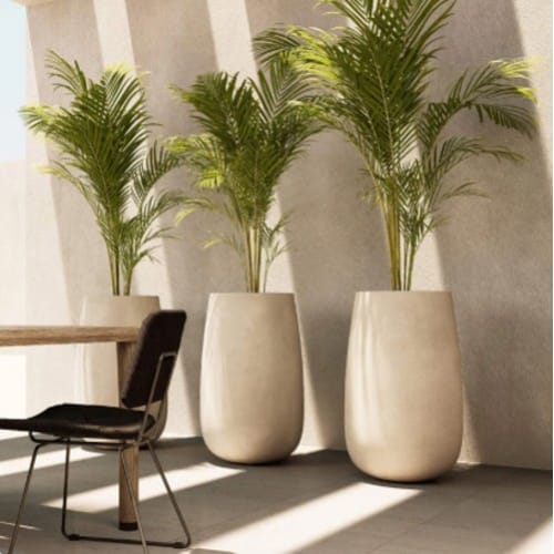 COSAPOTS Planter - Mondo High