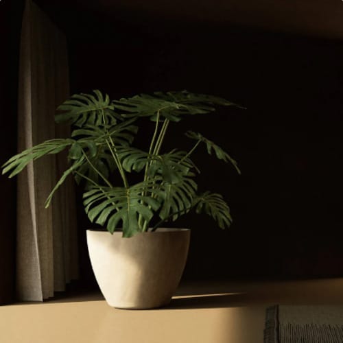 COSAPOTS Planter - Lupo