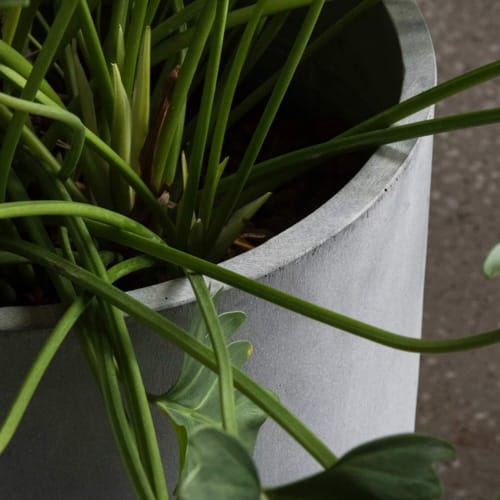 COSAPOTS Planter - Lofto preview 2