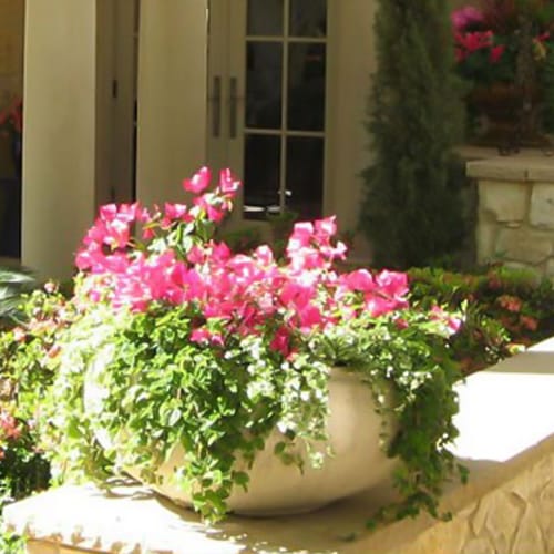 Rustic Planter
