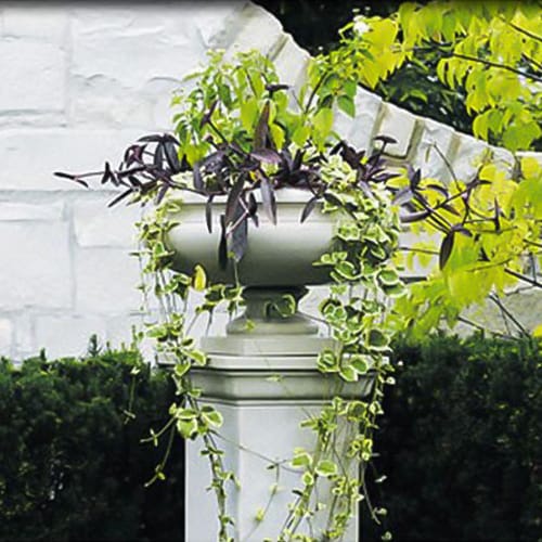 Washington Planter