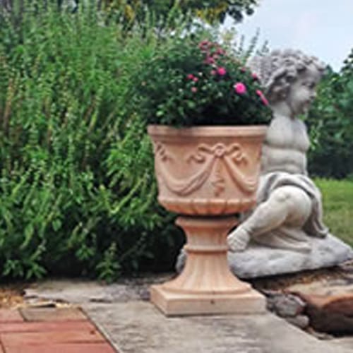 Ancient Urn & Lake Forest preview 3