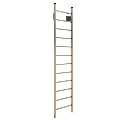 501 Access Ladder