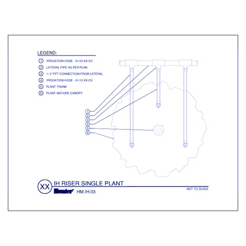 IH Riser Single Plant