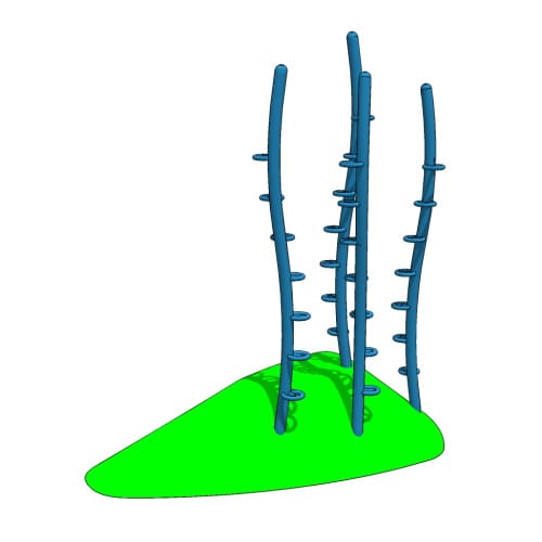 3D Preview
